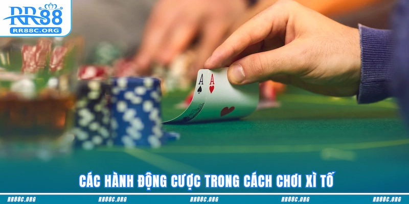  Các hành động cược trong Cách chơi Xì Tố